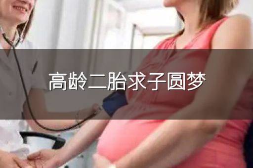 高龄二胎求子圆梦