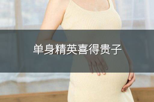 单身精英喜得贵子