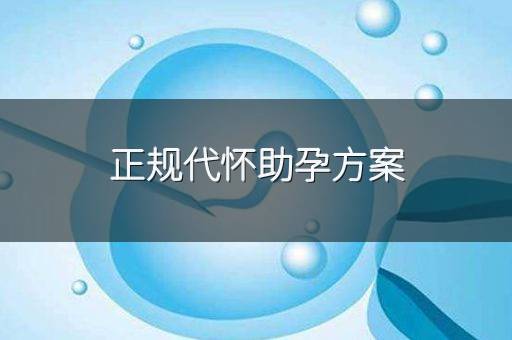正规代怀助孕方案