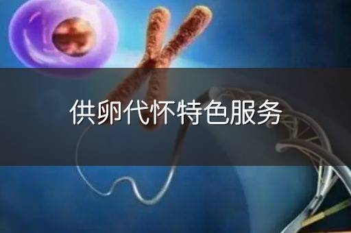 供卵代怀特色服务