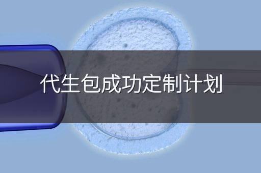 代生包成功定制计划