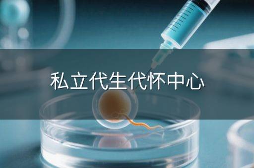 私立代生代怀中心