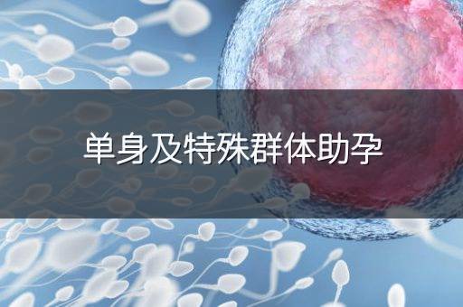 单身及特殊群体助孕
