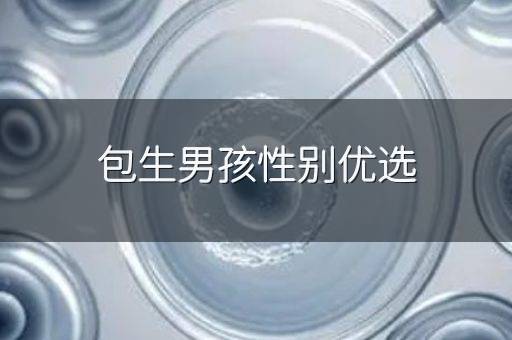 包生男孩性别优选